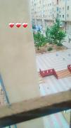 Boulevard des lions oran