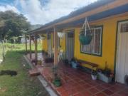 Top La Venta