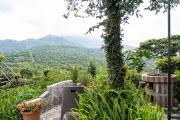 Los Naranjos Town Houses
