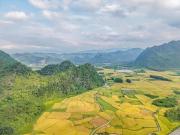 Top Phong Nha
