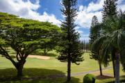 Top Kapalua