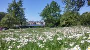 Top Talsi