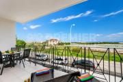 Top Paralimni
