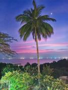 Top Ko Tao
