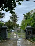Damar Tree Resort