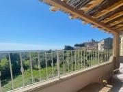 Top Montescudaio