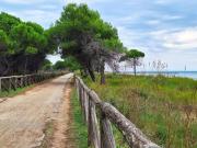 Top Bibione