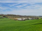 Top Crowhurst
