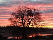Top Crowhurst