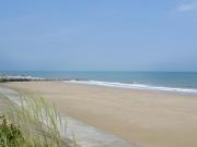 Top Neatishead