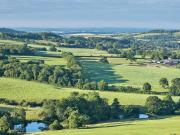 Top Ansty