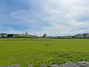 Top Cartmel