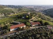 Top Verona
