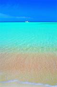 Top San Vito lo Capo