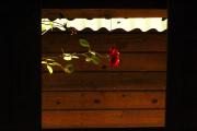 Valhalla Glamping House