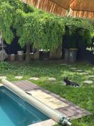 Gîte Lou Sabaï au pied des dentelles de Montmirail, piscine partagée