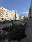 Top Gdynia