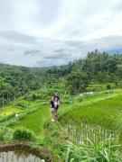 Top Tetebatu