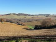 Top Mauroux
