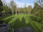 Top Ieper