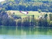 Top Solina