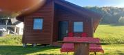 Top Solina