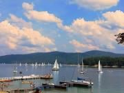Top Solina