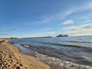 Melnragė