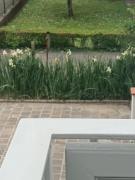 Top Monticelli Terme