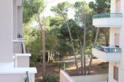 Top Gallipoli