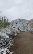 Top Potrerillos