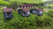 Top Phong Nha