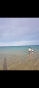 Top Hammamet