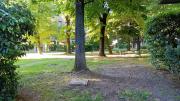 Top Pavia