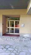 Top Pavia