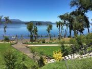 Top Licán Ray Top Licán Ray