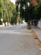 Top Hammamet