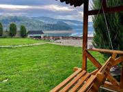 Top Hangu