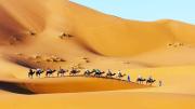 Top Merzouga