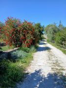 Top Spigno Saturnia