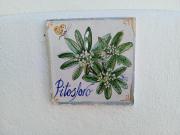 Top Forio di Ischia