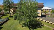 Top Cuneo