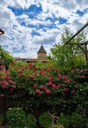 VILLA SABA WITH TWO BEDROOMS- სასტუმრო საბა