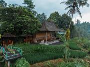 Top Tampaksiring