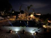 Top Silves