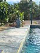 Top Silves