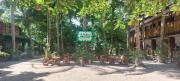 Top Laiya