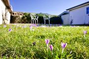 Top Nordstrand