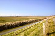 Top Nordstrand