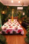 Le Studio Jungle climatisé